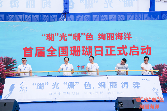 vbox15010_LI5A3129_100704.jpg