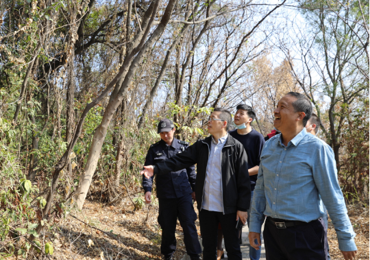 微信图片_20210220155335.jpg