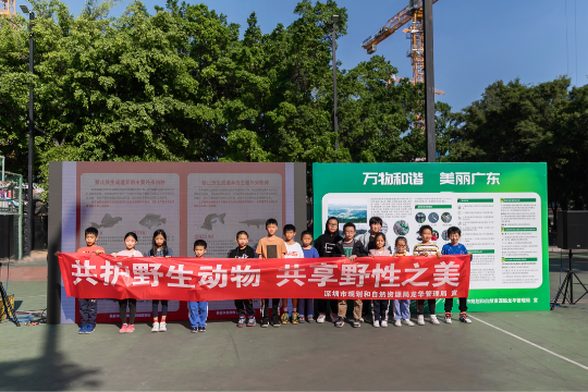 图片3.png
