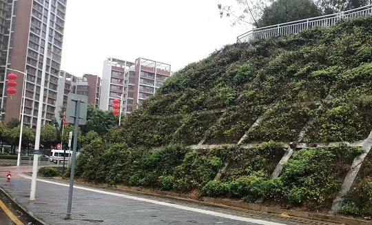 2小.jpg