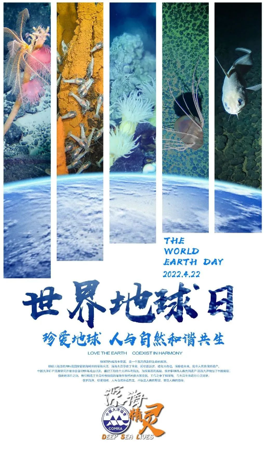 已编辑图片