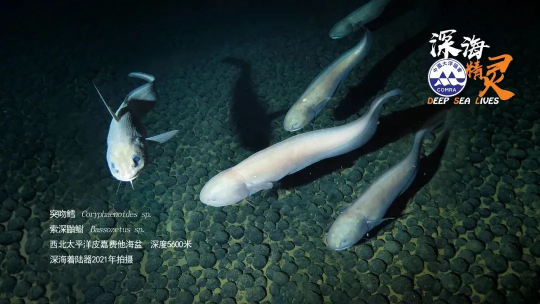 已编辑图片