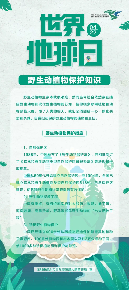 已编辑图片
