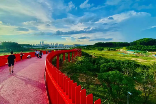 已编辑图片