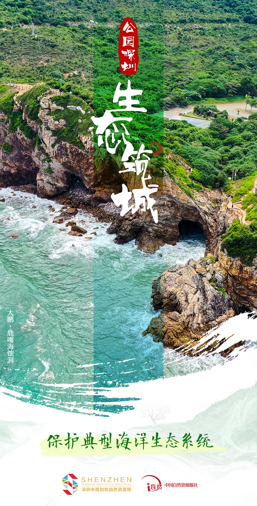 公园深圳-1生态筑城-3保护典型海洋生态系统.jpg
