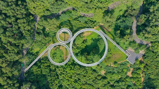 已编辑图片