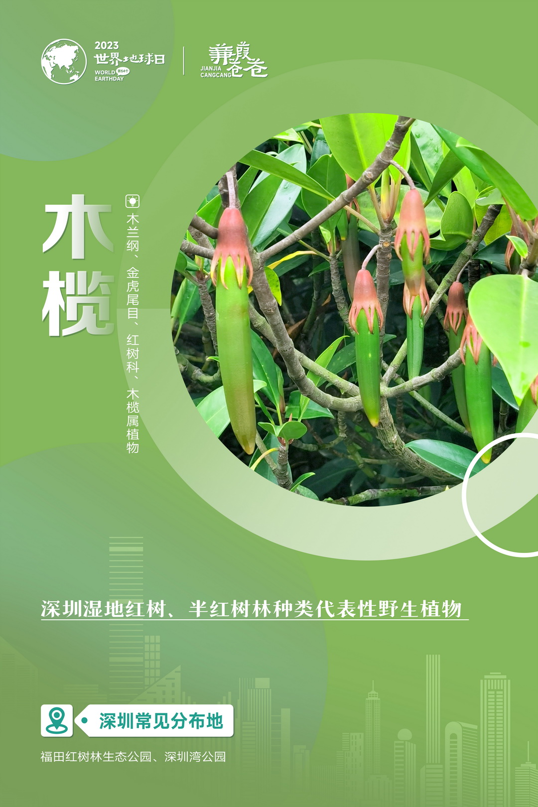 系列海报-01.jpg