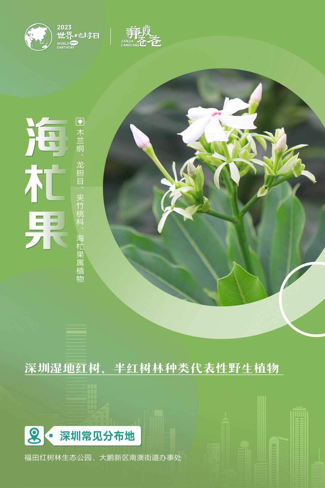 系列海报-02.jpg