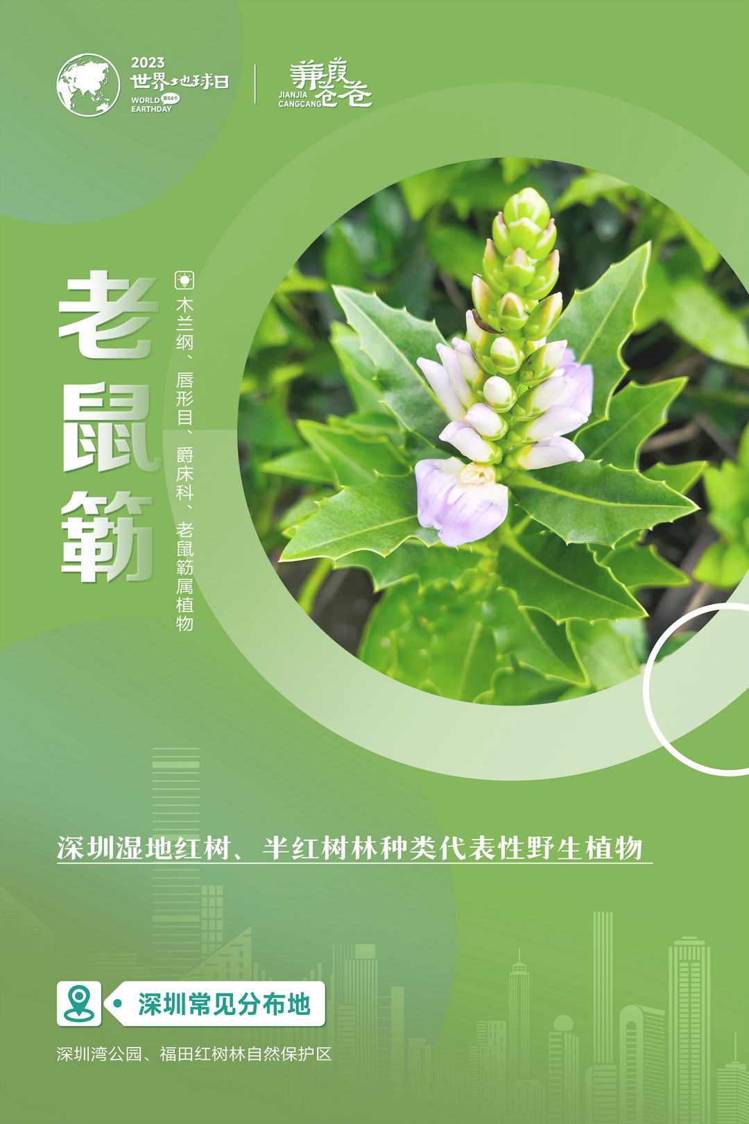 系列海报-03.jpg