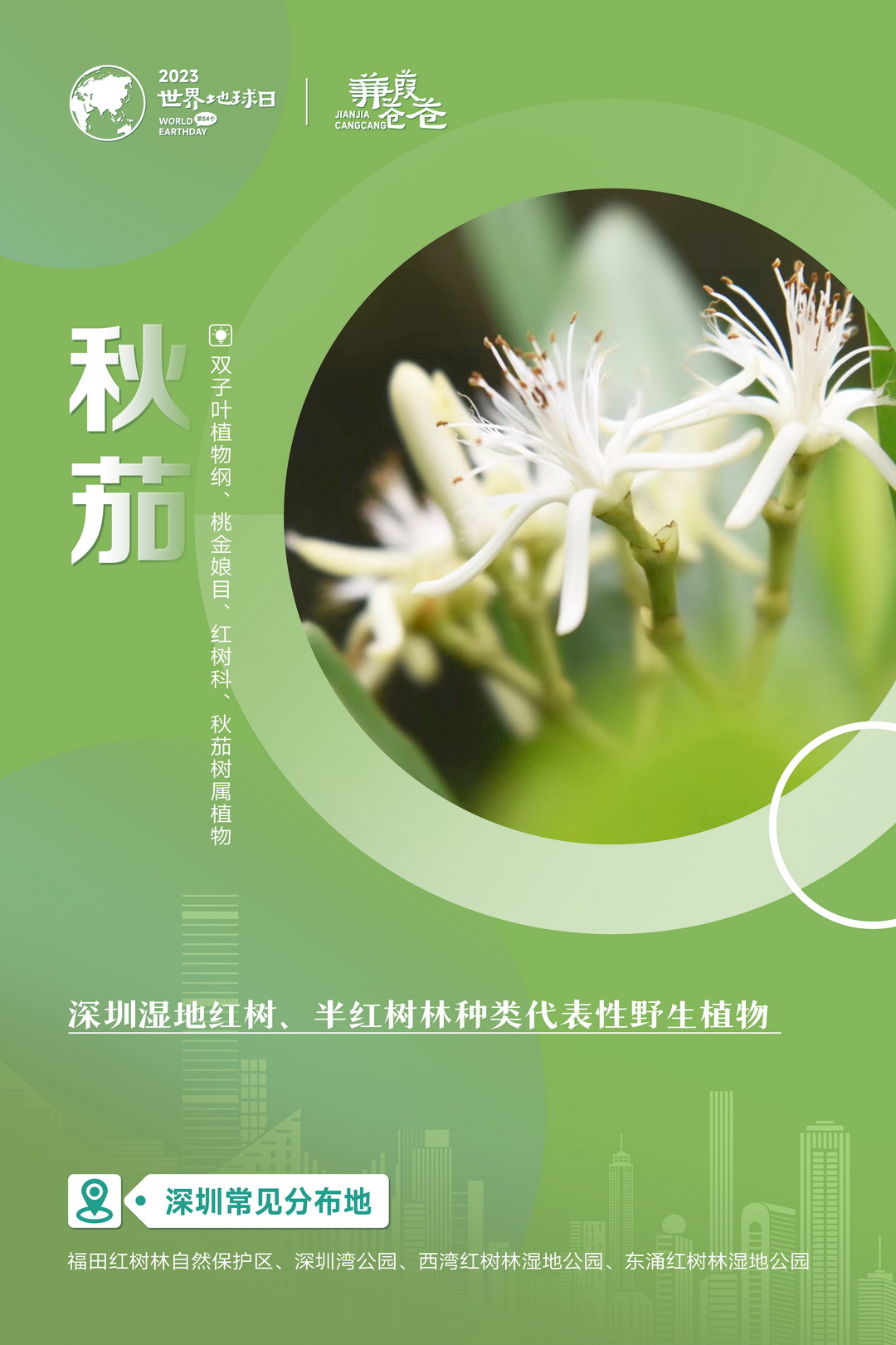 系列海报-04.jpg