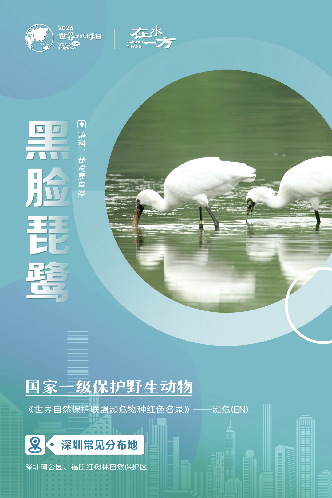 系列海报-05.jpg