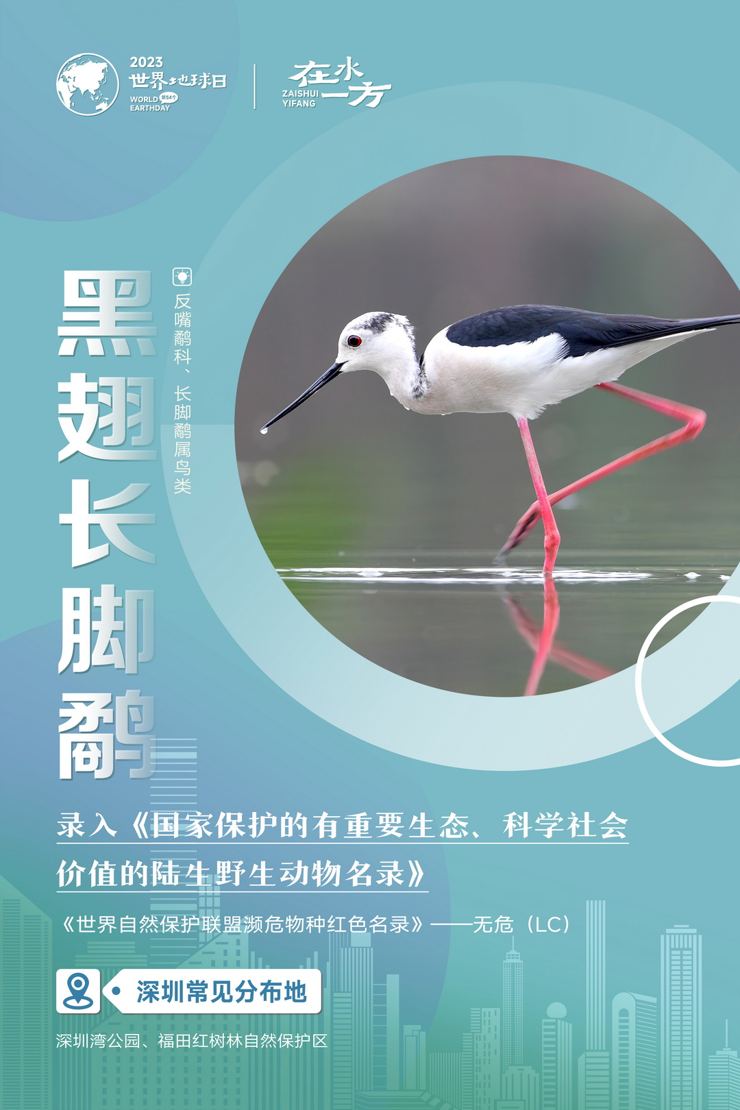 系列海报-06.jpg