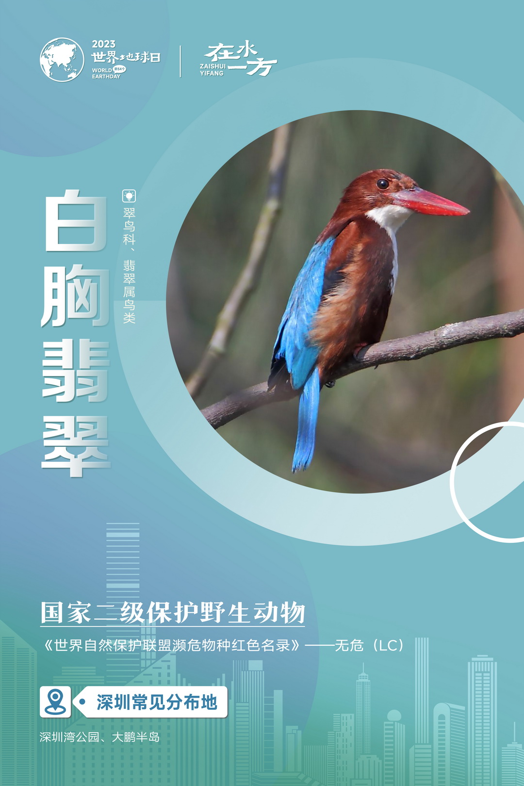 系列海报-07.jpg