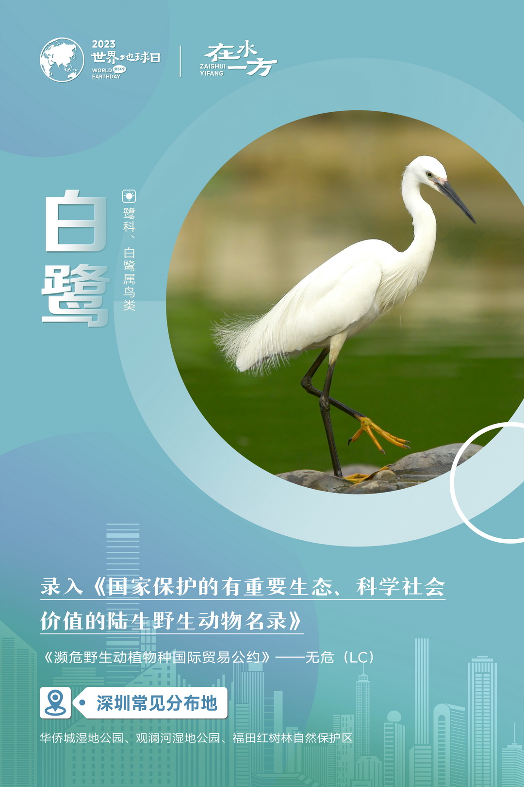 系列海报-08.jpg