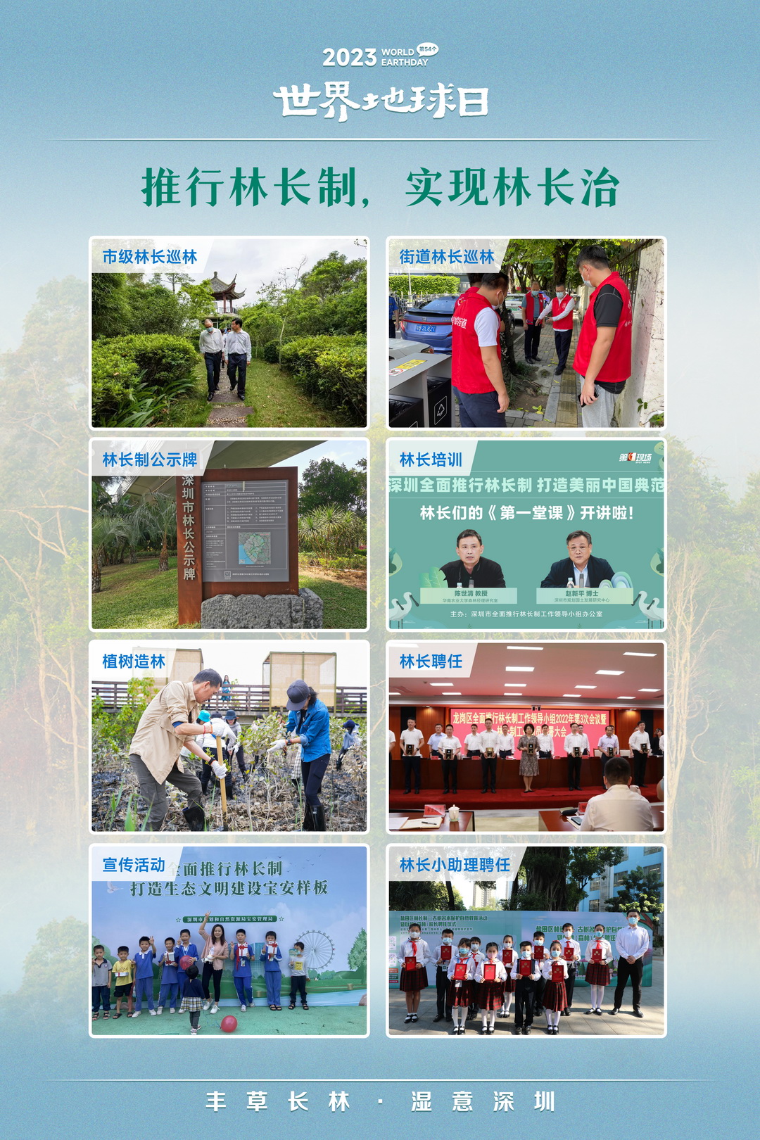 林业展板-01.jpg
