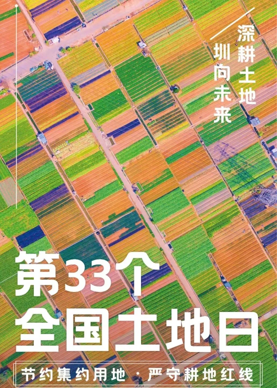 已编辑图片
