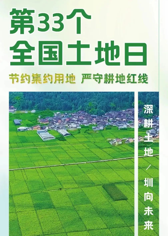 已编辑图片
