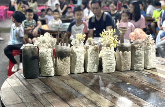 已编辑图片