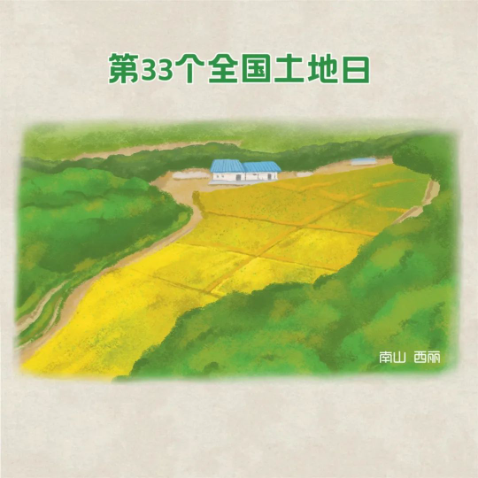 已编辑图片