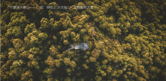 葛楷力 绿美塘朗山.png