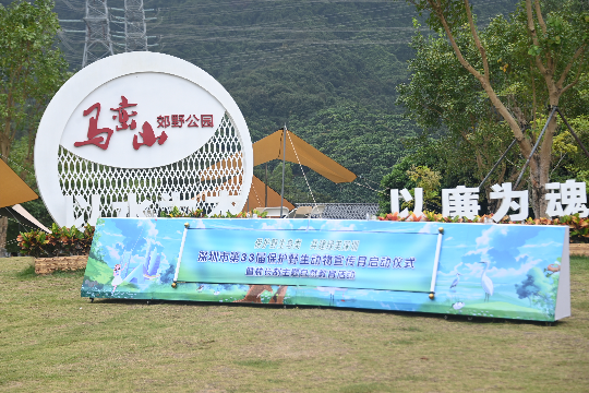 DSC_9879.JPG