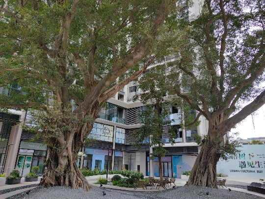已编辑图片