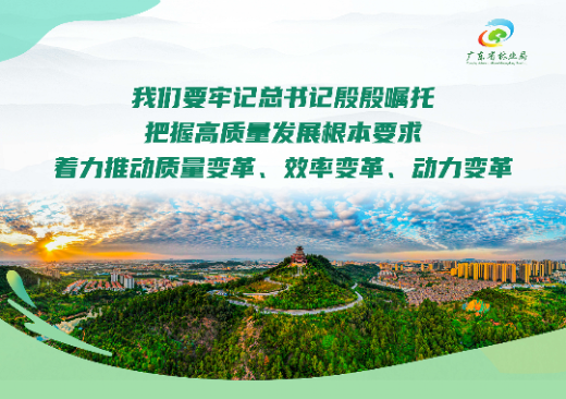 已编辑图片
