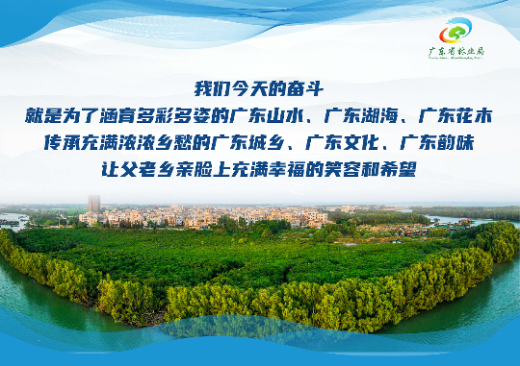 已编辑图片