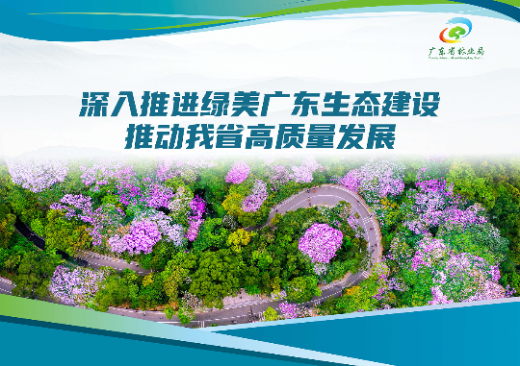 已编辑图片