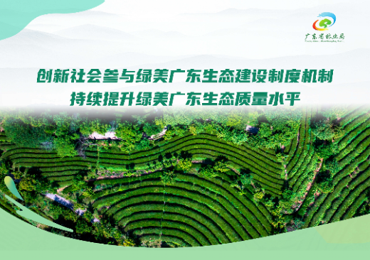 已编辑图片