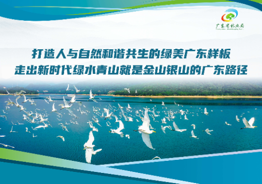 已编辑图片