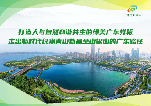 已编辑图片