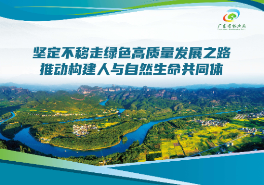 已编辑图片