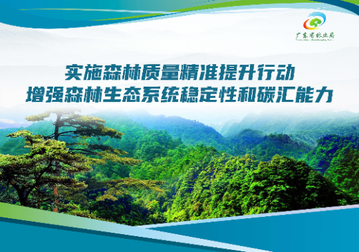 已编辑图片