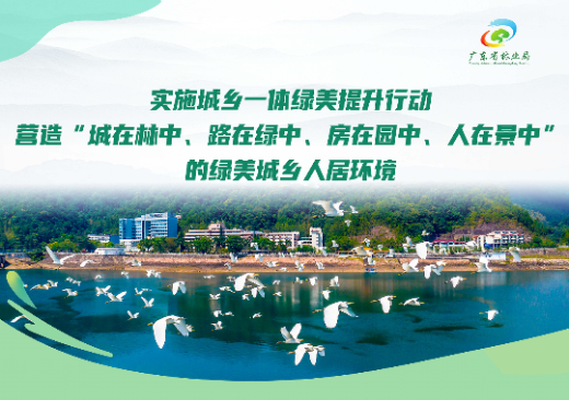 已编辑图片