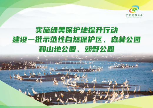 已编辑图片