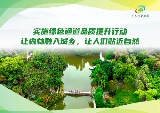 已编辑图片