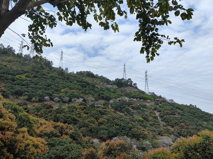 gua1.jpg