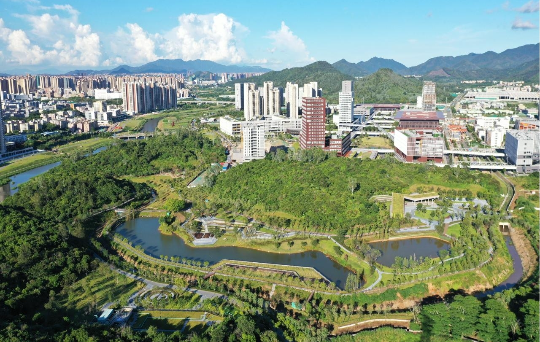 已编辑图片