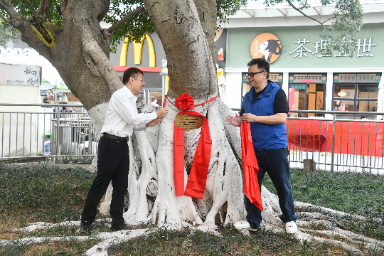 图片2.JPG