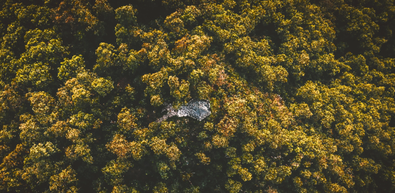 葛楷力 绿美塘朗山 2023.3.27 深圳塘朗山公园.jpg