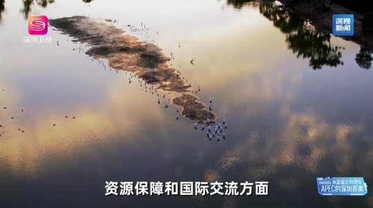 14.png