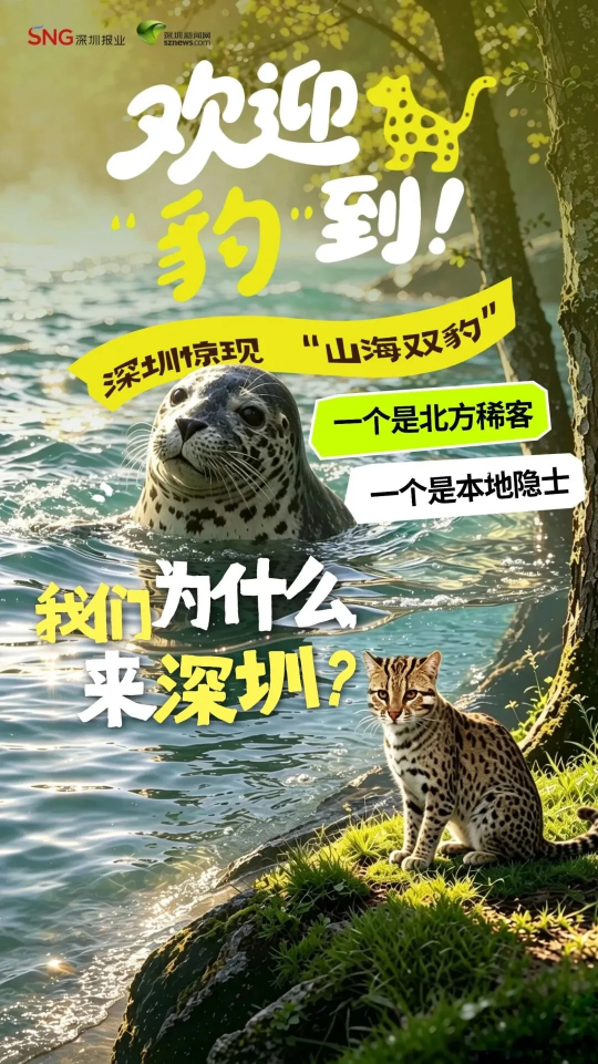 clipbord_1787121055373.png
