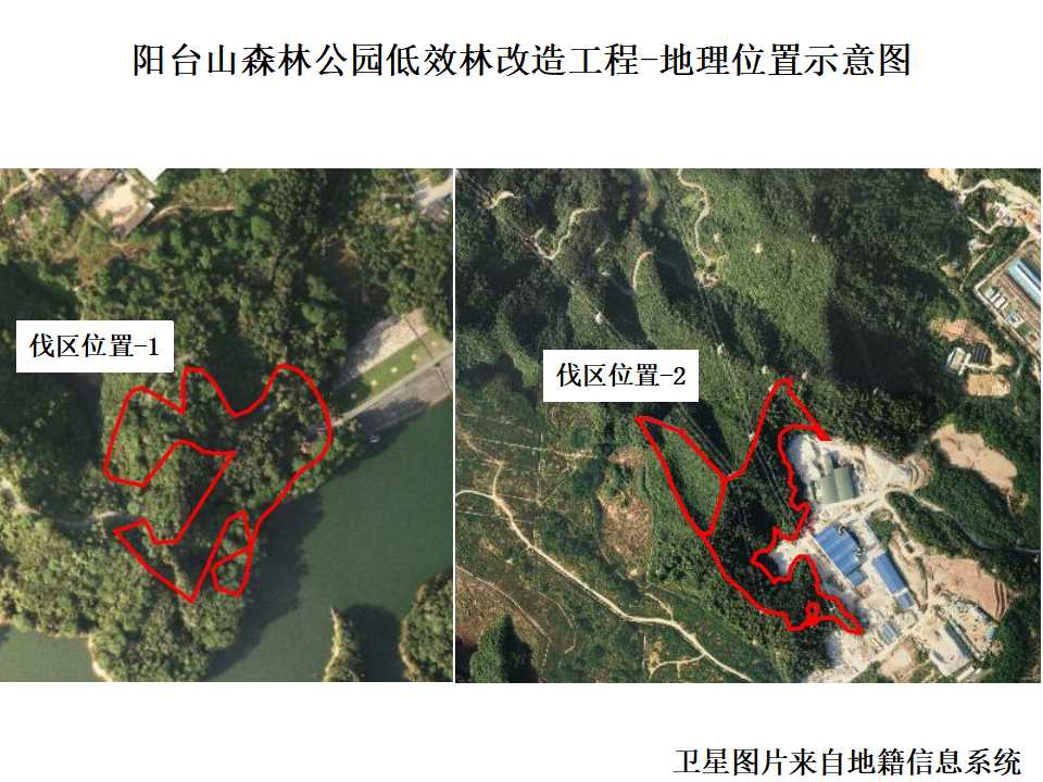 深圳市規劃和自然資源局龍華管理局關於陽臺山森林公園低效林改造工程