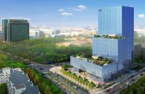 ����Ϊ����