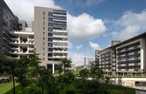 ��������԰